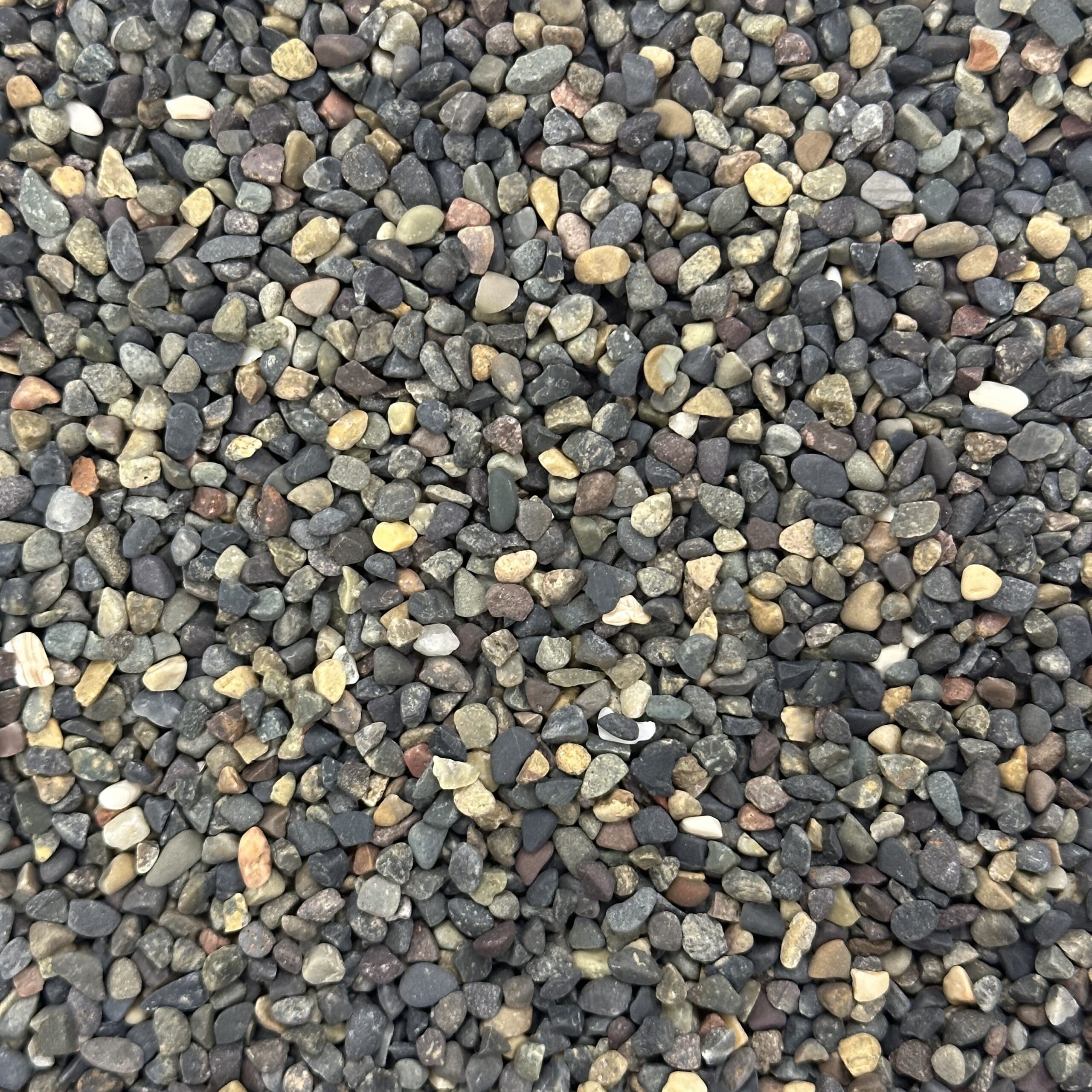 Swimming Pool pebbles black mexican 610