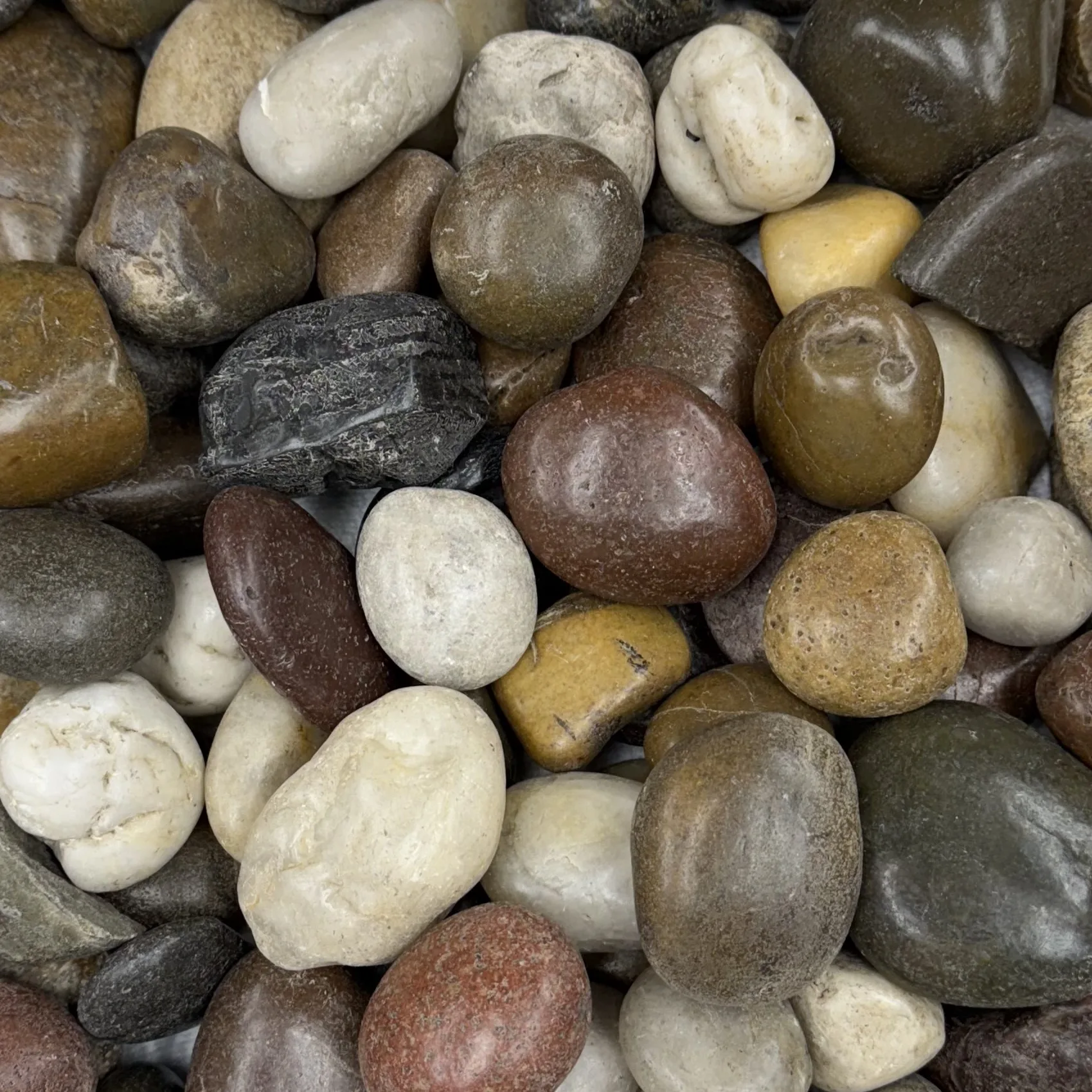 Mixed Polished Beach Pebble