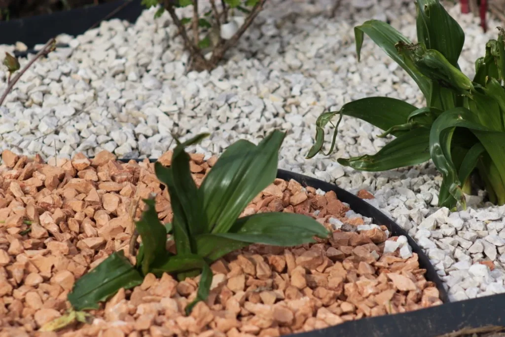 Decorative Aggregates - Mesa, AZ